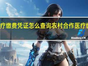 农村合作医疗缴费凭证怎么查询　农村合作医疗缴费凭证查询方式