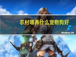 农村喂养什么宠物狗好
