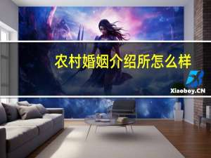 农村婚姻介绍所怎么样