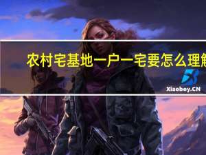 农村宅基地一户一宅要怎么理解（农村宅基地一户一宅）