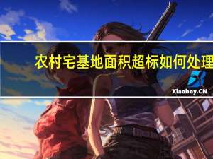 农村宅基地面积超标如何处理
