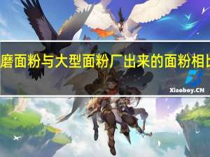 农村小磨面粉与大型面粉厂出来的面粉相比较有何优点