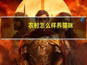 农村怎么样养猫咪