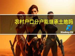 农村户口分户能继承土地吗
