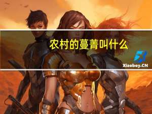 农村的蔓菁叫什么