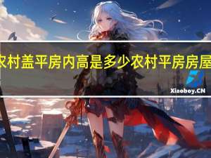 农村盖平房内高是多少 农村平房房屋设计图