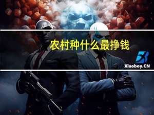 农村种什么最挣钱