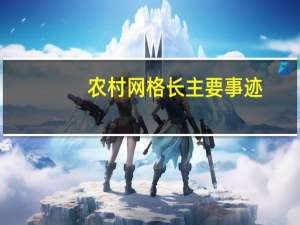 农村网格长主要事迹