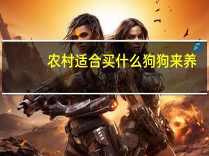农村适合买什么狗狗来养