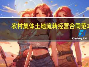 农村集体土地流转经营合同范本