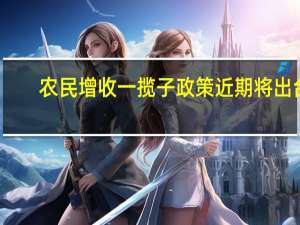 农民增收一揽子政策近期将出台