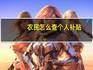 农民怎么查个人补贴