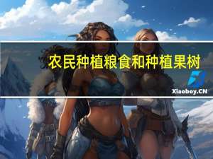 农民种植粮食和种植果树，哪个收益更高