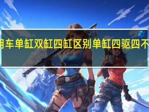 农用车单缸双缸四缸区别 单缸四驱四不像农用车