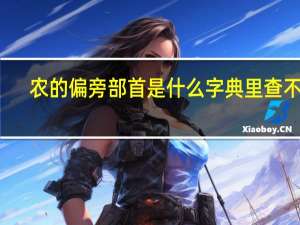 农的偏旁部首是什么字典里查不到