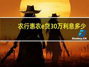 农行惠农e贷30万利息多少