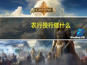 农行投行做什么