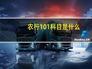 农行101科目是什么