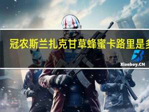 冠农 斯兰扎克 甘草蜂蜜卡路里是多少