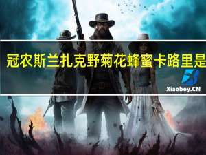 冠农 斯兰扎克 野菊花蜂蜜卡路里是多少