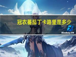 冠农 蕃茄丁卡路里是多少