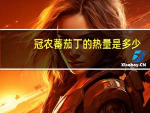 冠农 蕃茄丁的热量是多少