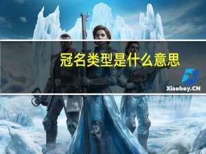 冠名类型是什么意思
