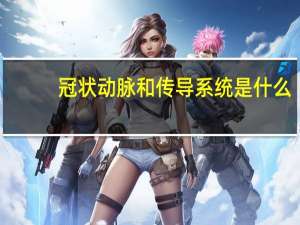 冠状动脉和传导系统是什么