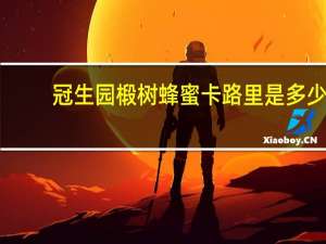 冠生园 椴树蜂蜜卡路里是多少