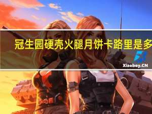 冠生园 硬壳火腿月饼卡路里是多少