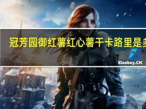 冠芳园 御红薯 红心薯干卡路里是多少