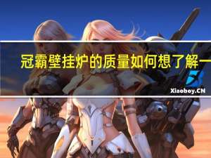 冠霸壁挂炉的质量如何想了解一下