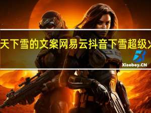 冬天下雪的文案网易云 抖音下雪超级火的文案