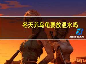 冬天养乌龟要放温水吗