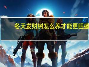 冬天发财树怎么养才能更旺盛