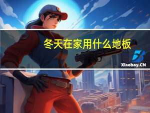 冬天在家用什么地板
