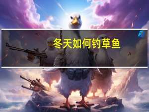 冬天如何钓草鱼