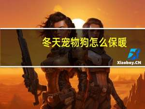 冬天宠物狗怎么保暖