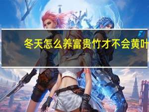 冬天怎么养富贵竹才不会黄叶