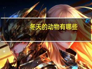 冬天的动物有哪些