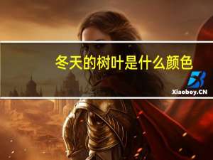 冬天的树叶是什么颜色