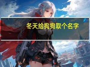 冬天给狗狗取个名字