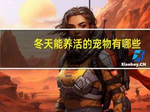 冬天能养活的宠物有哪些