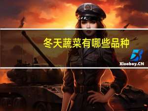 冬天蔬菜有哪些品种