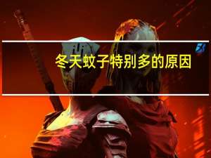 冬天蚊子特别多的原因