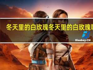 冬天里的白玫瑰 冬天里的白玫瑰歌曲
