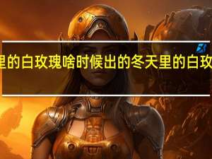 冬天里的白玫瑰啥时候出的 冬天里的白玫瑰地铁兄弟