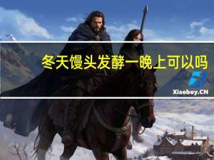 冬天馒头发酵一晚上可以吗