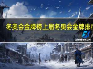 冬奥会金牌榜 上届冬奥会金牌排行榜