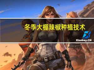 冬季大棚辣椒种植技术